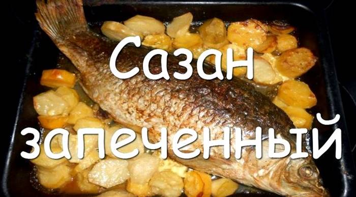 Як запекти сазана в духовці цілком у фользі філе, збризкують рибу олією